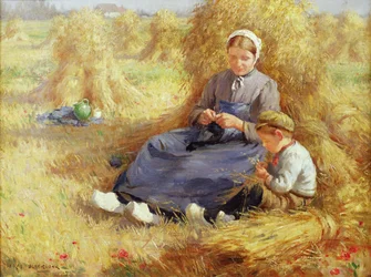 Midday Rest